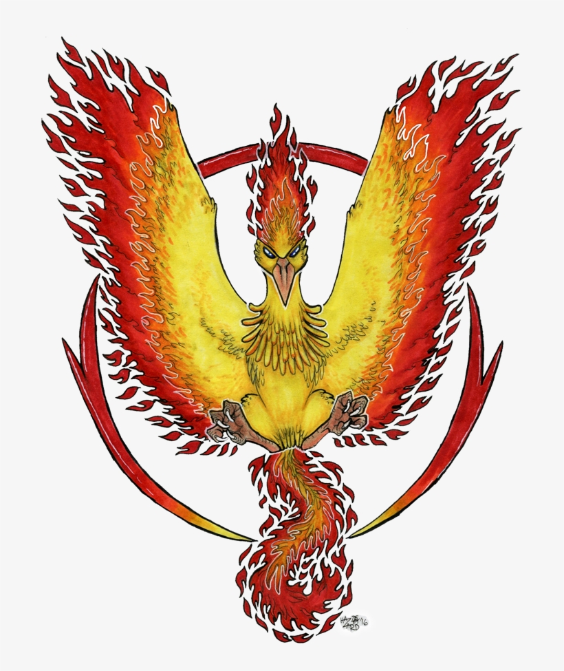 Team Valor Custom Design - Design, transparent png download