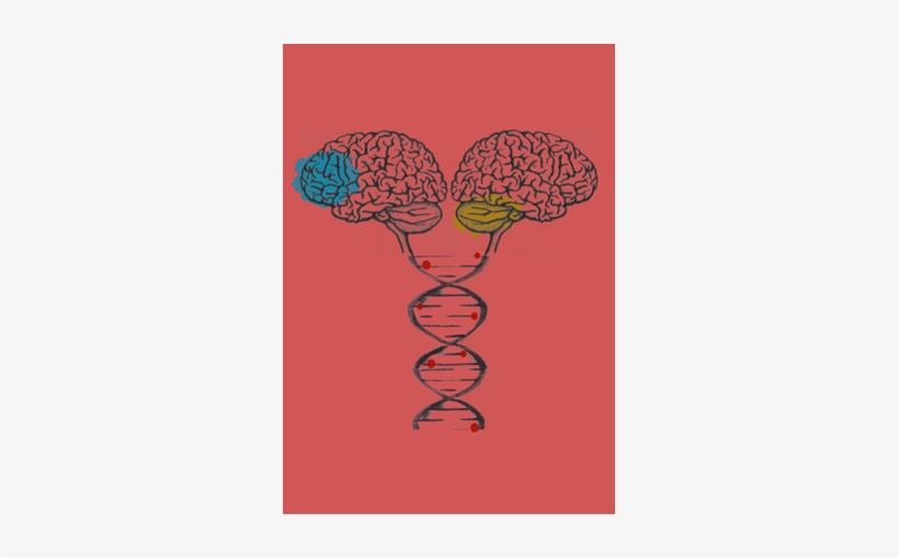Quantifying Dna Hydroxymethylation In The Human Brain - Illustration, transparent png download