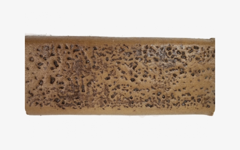 Rock Salt Texture Roller - Table Salt, transparent png download