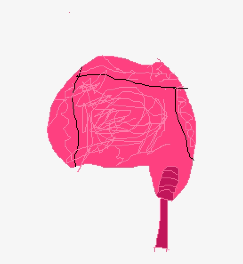 The Human Brain - Human, transparent png download