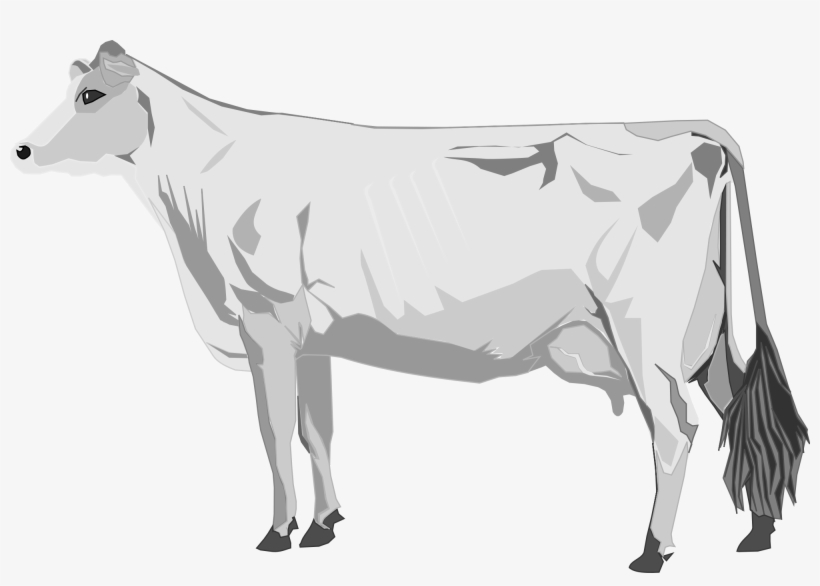 Open - Scalable Vector Graphics, transparent png download