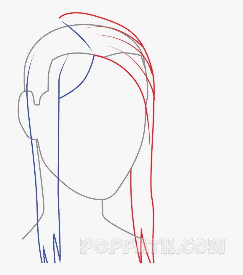 Ponytails Drawing At Getdrawings - Sketch, transparent png download