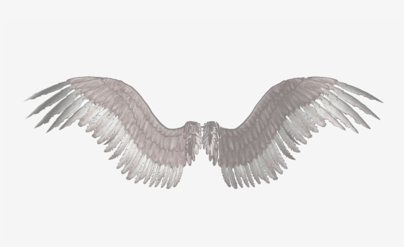 Transparent Feathers Supernatural - Wings Png, transparent png download