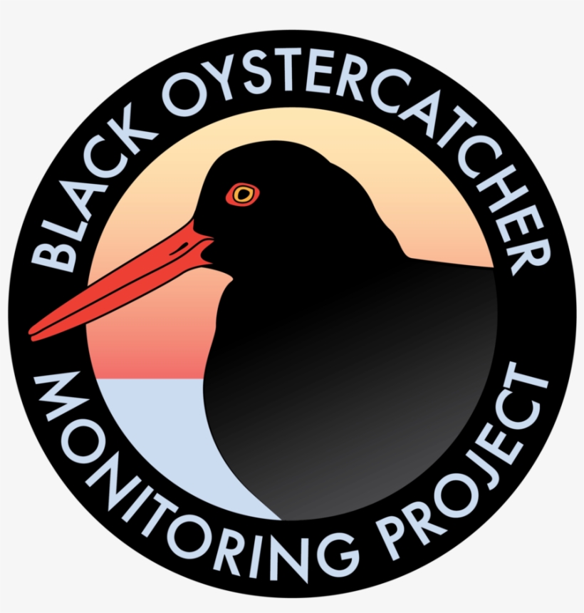 Black Oystercatcher - Va Workers Compensation Commission Logo, transparent png download