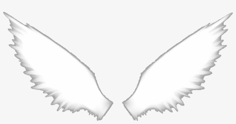Angel Wings - Hōtarō Oreki, transparent png download