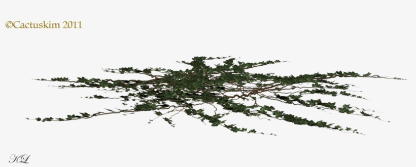 Ivy On Ground Png, transparent png download