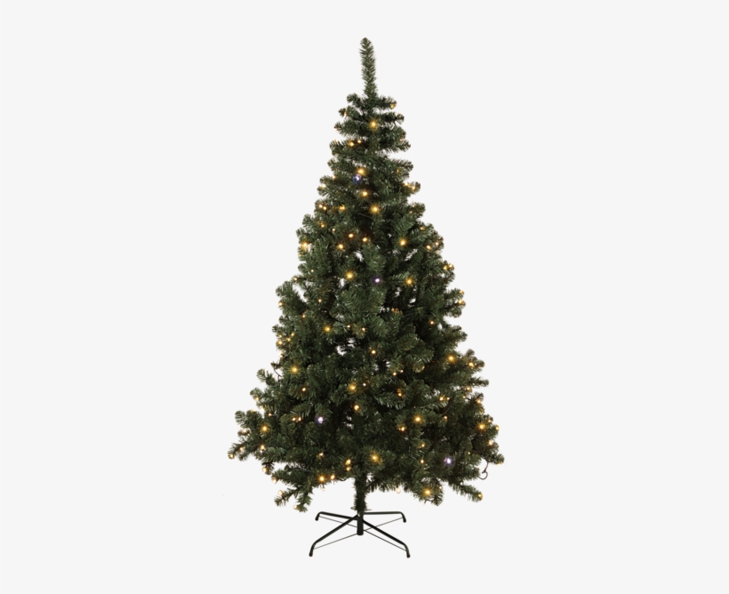 Christmas Tree W Led Twinkle Tree - Evergreen Tree No Background, transparent png download