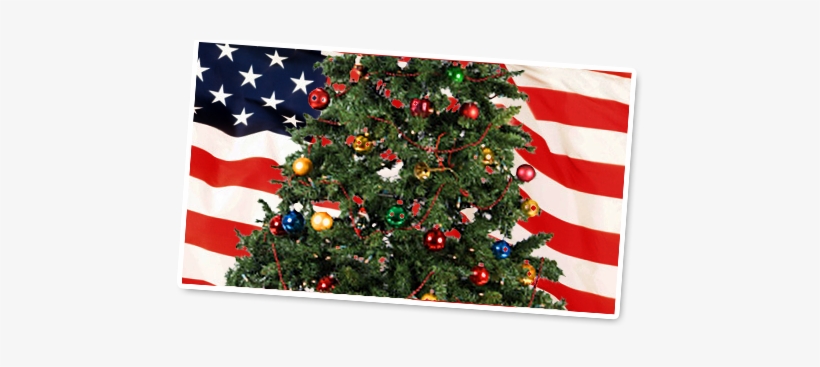 Five Star Brightens The Holidays For Many Underprivileged - Christmas Tree, transparent png download