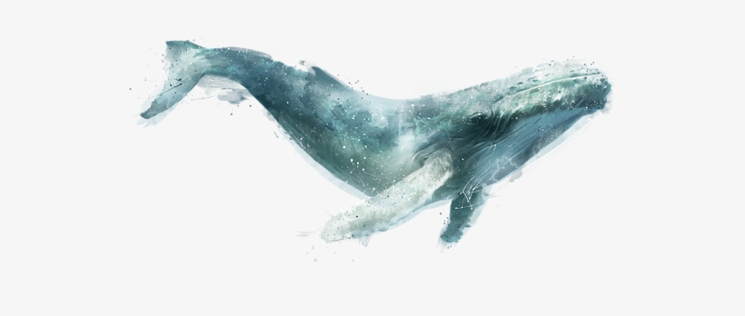 Click And Drag To Re-position The Image, If Desired - Humpback Whale Painting, transparent png download