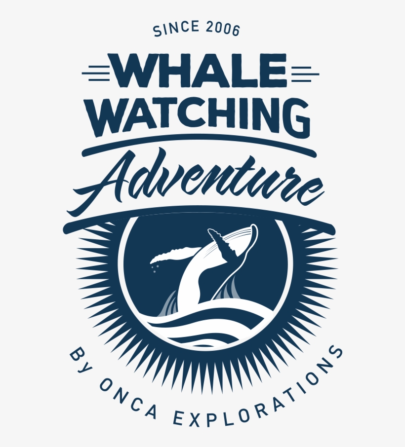 Explore The Coast Of Mazatlan On A Mission To Meet - Simply Nourish, Accents Cat Food Topper - Natural,, transparent png download