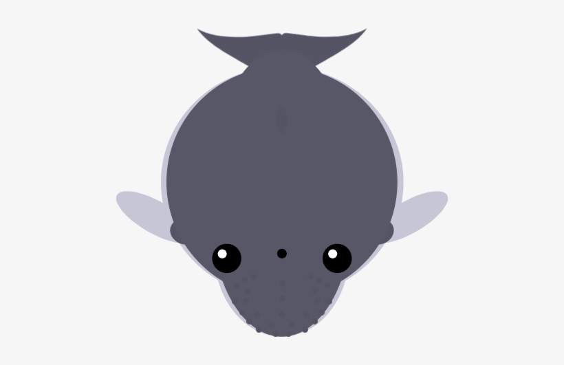 Artistichumpback Whale - Cartoon, transparent png download