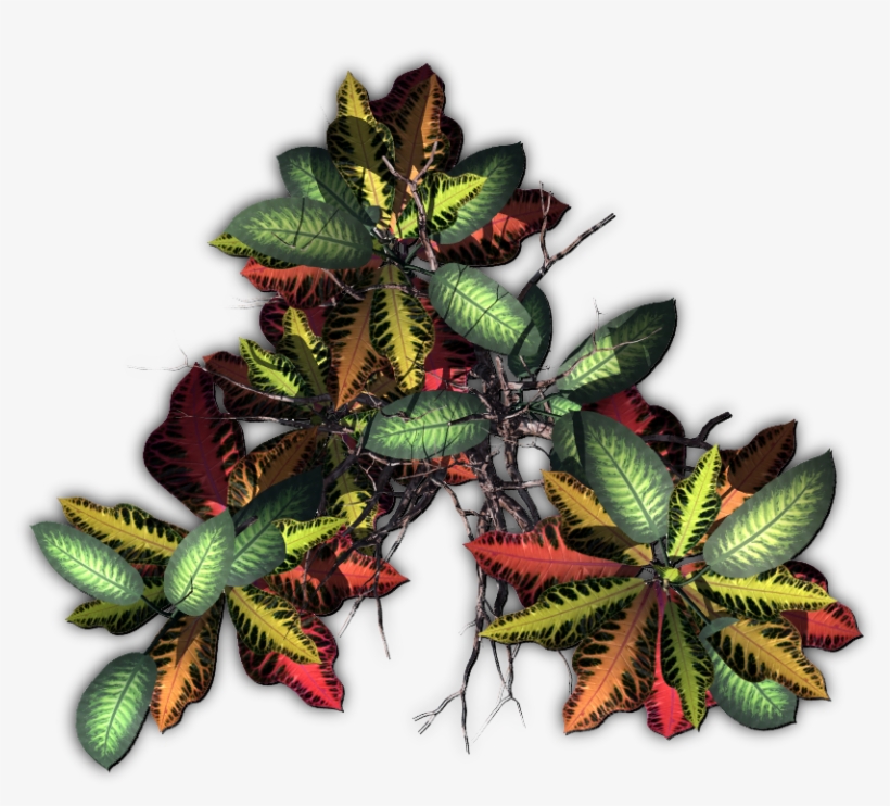 Jungletree-c - Tropics, transparent png download