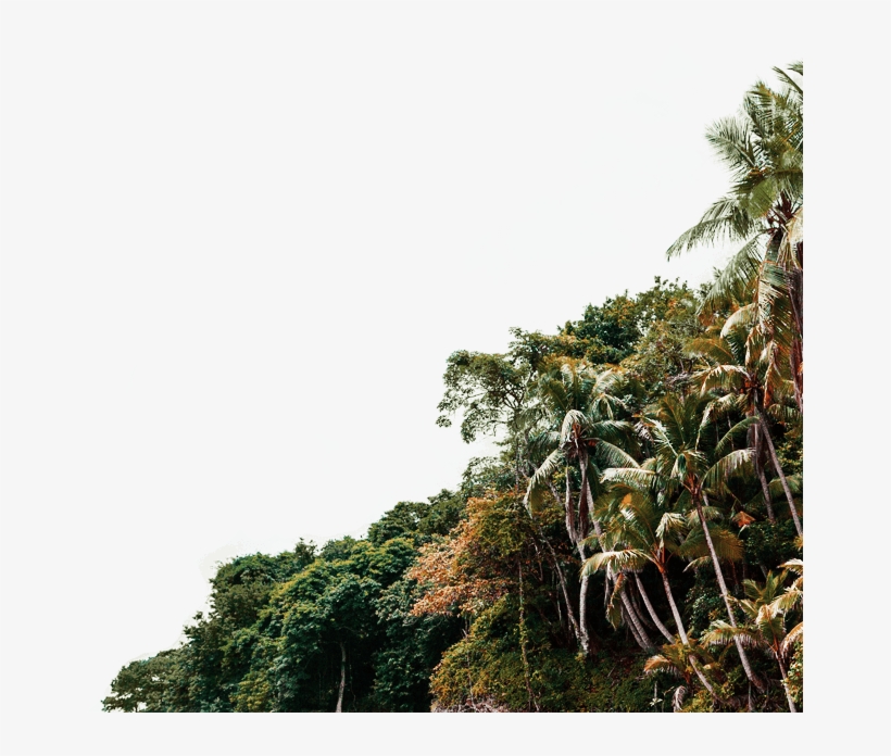 X Close - - Burundi, transparent png download