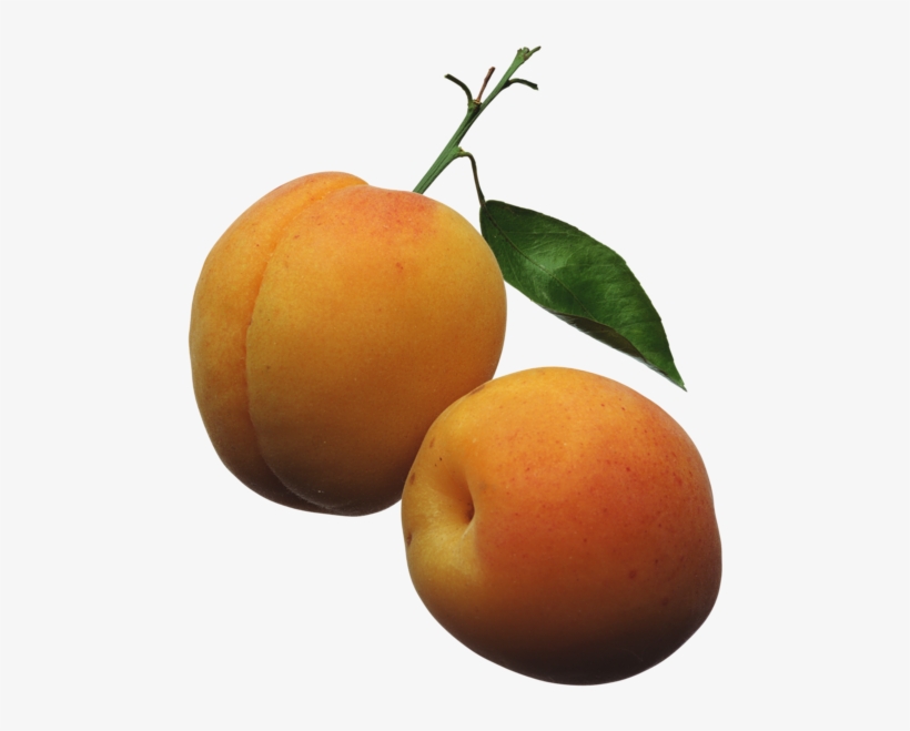Apricots Png Clipart Picture Ovocie Fruit Pinterest - Apricots Clipart, transparent png download