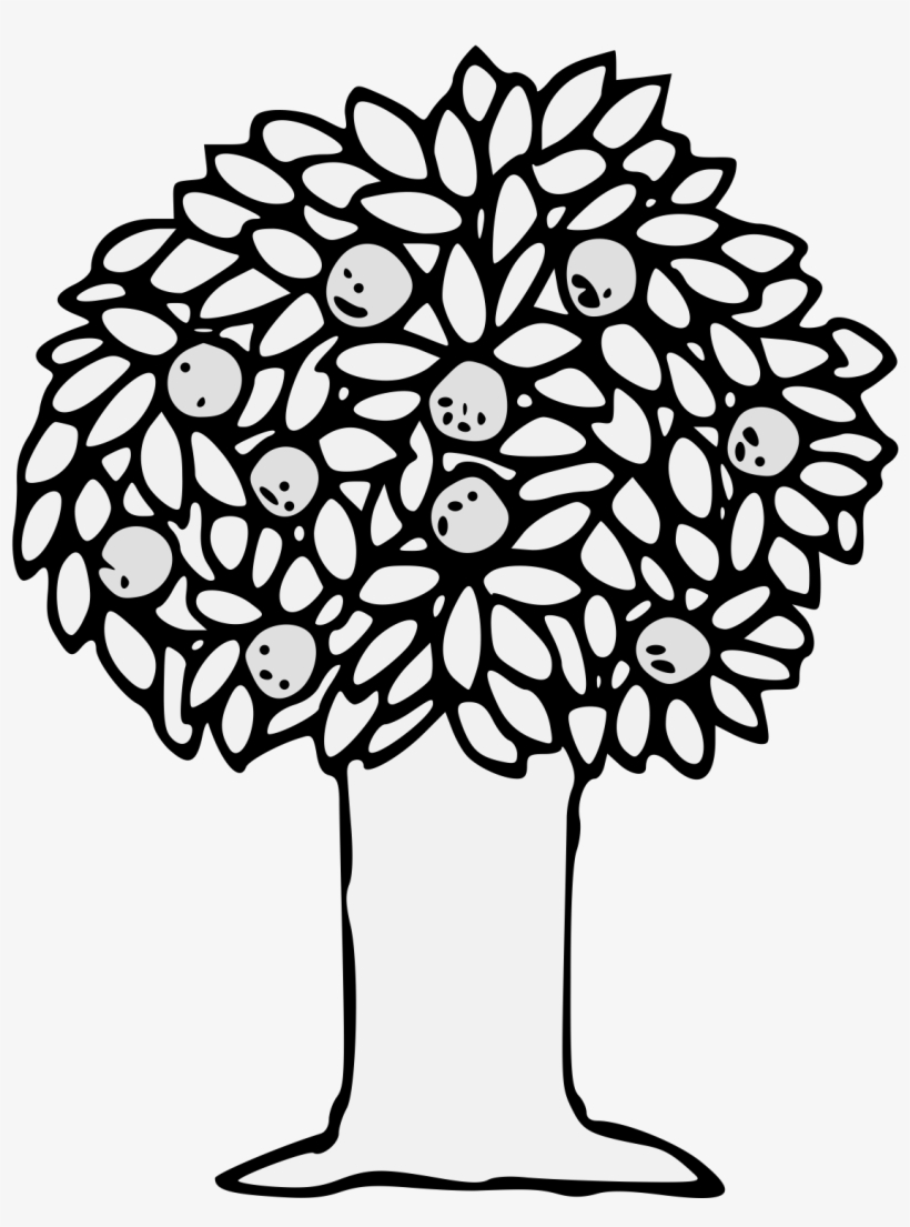 Orange Tree Fructed - Illustration, transparent png download