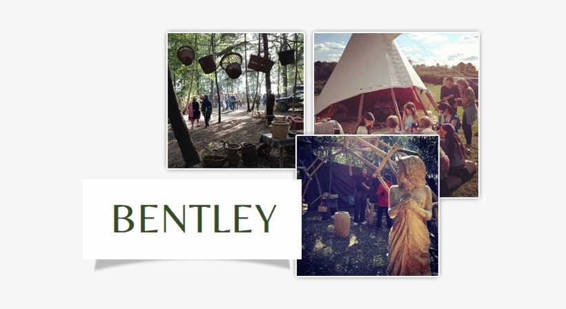 Leave - Tree, transparent png download