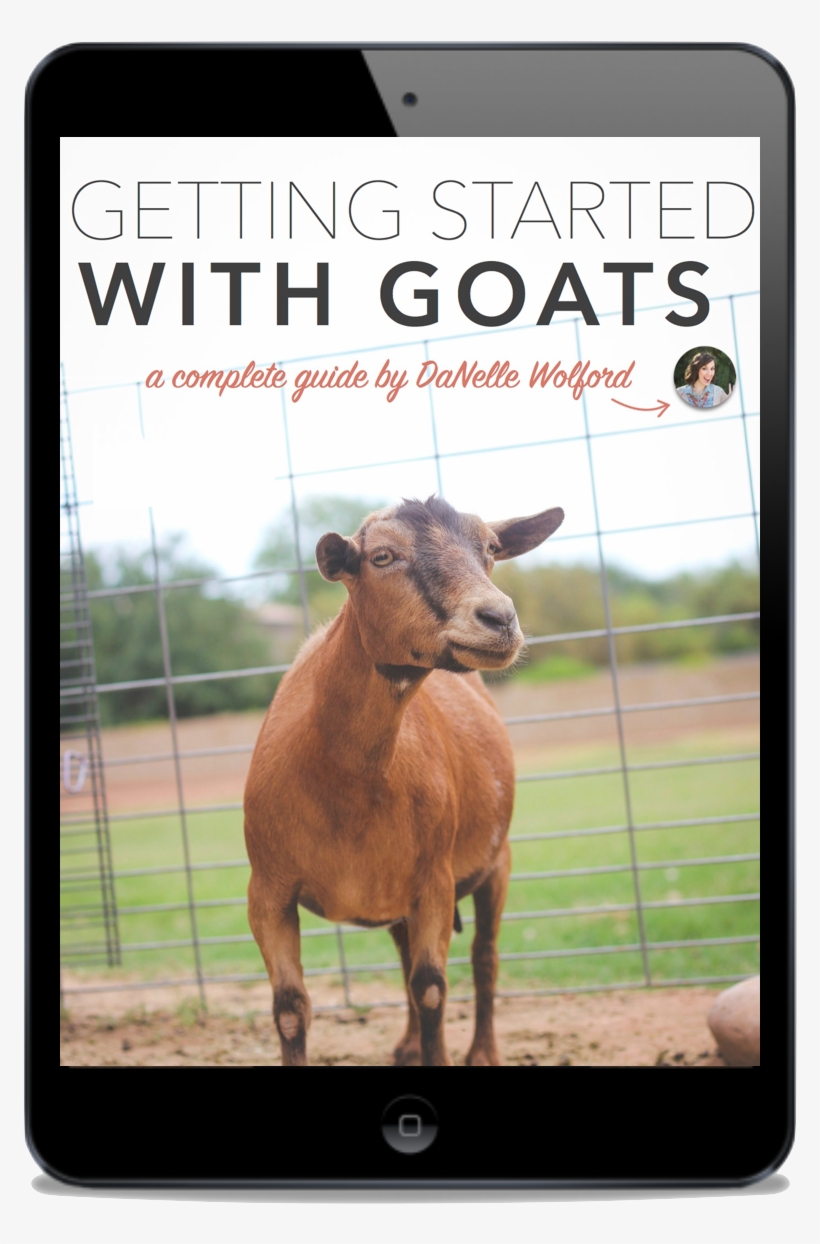 7ebda7e7bd651503633787 Getting Started Goats Ipad - Goat, transparent png download
