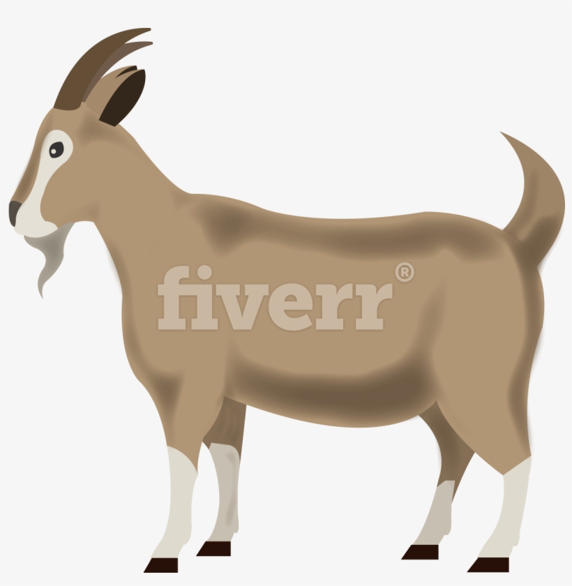 Fiverr, transparent png download