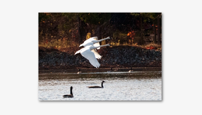 Nature Lover's Paradise - Nature, transparent png download