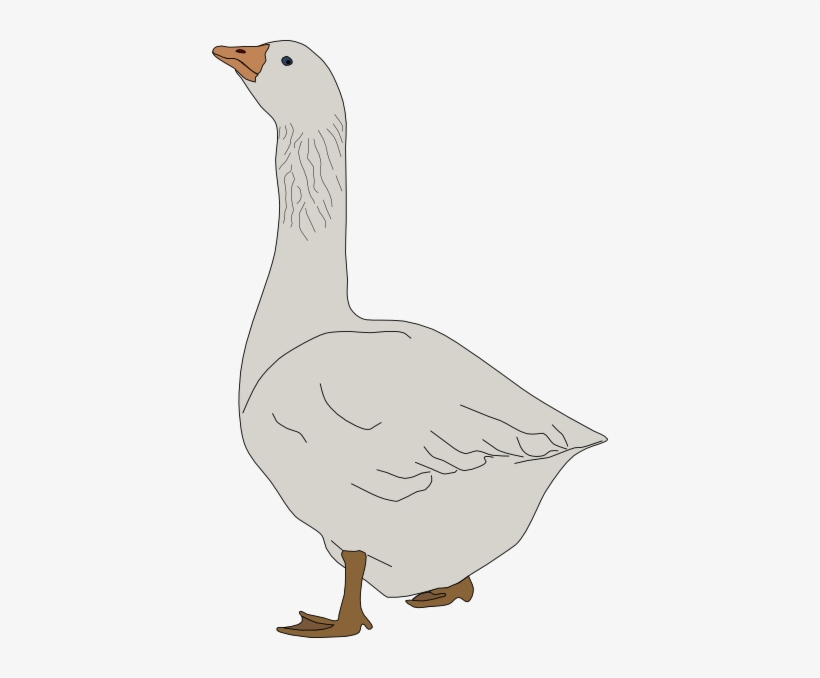 Small - Goose Clipart, transparent png download