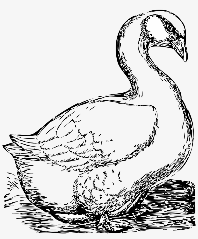 Big Image - Goose Clip Art, transparent png download