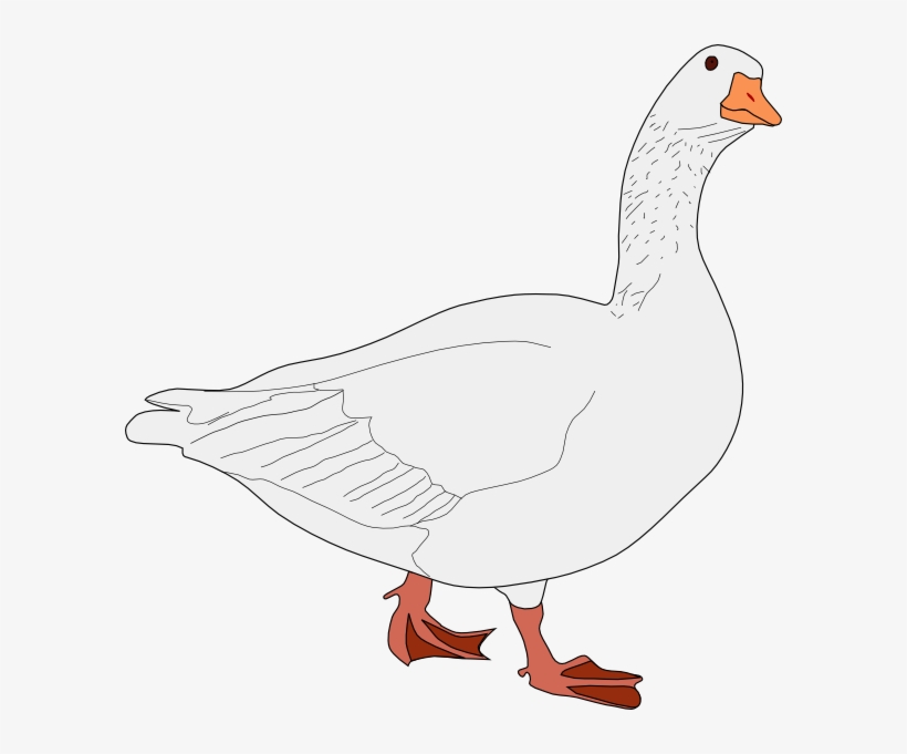 Goose Bird Svg Clip Arts 594 X 601 Px, transparent png download