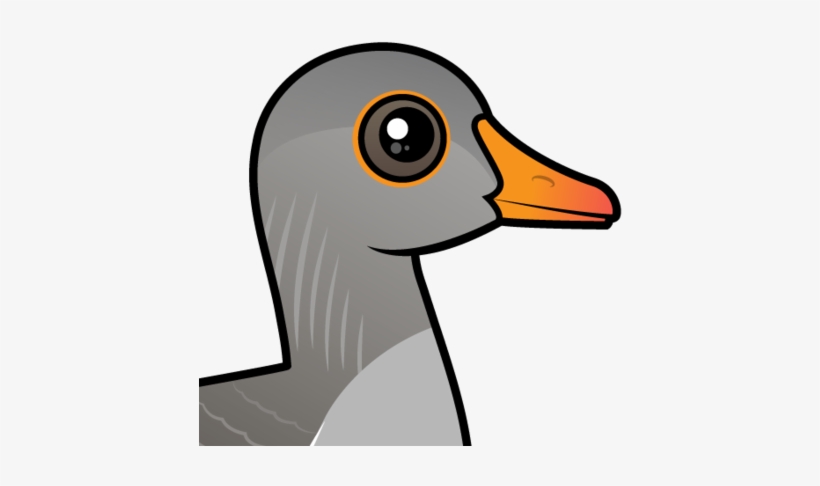 About The Greylag Goose - Greylag Goose Cartoon, transparent png download