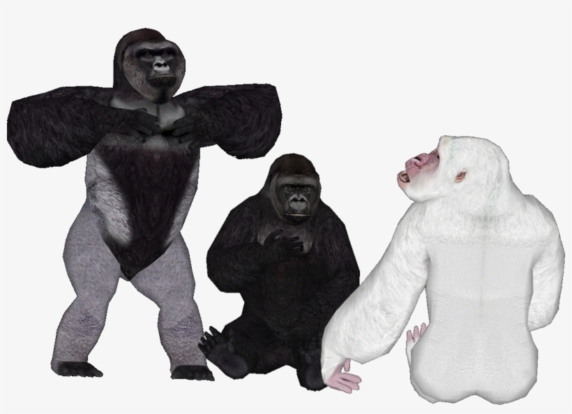 Harambe, Snowflake And Now Koko - Harambe, transparent png download