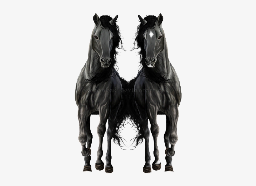 Horse Black For Png, transparent png download