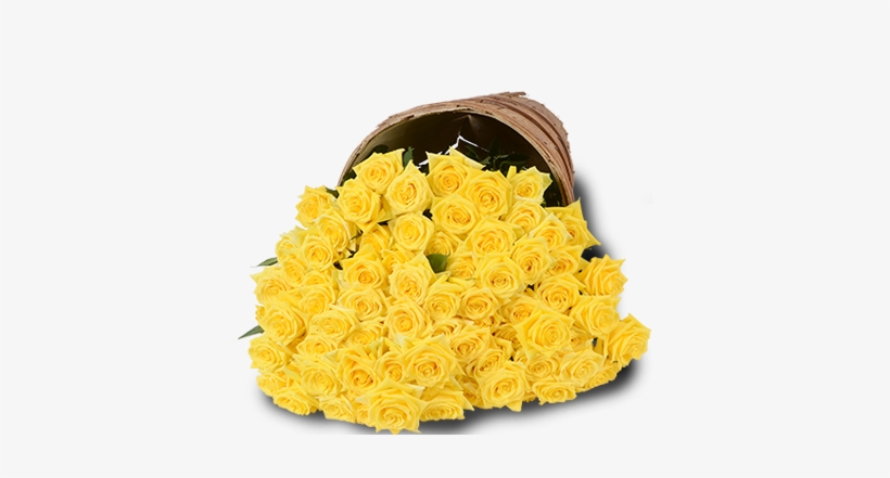 Yellow Roses - Bunch Of 100 Yellow Roses, transparent png download