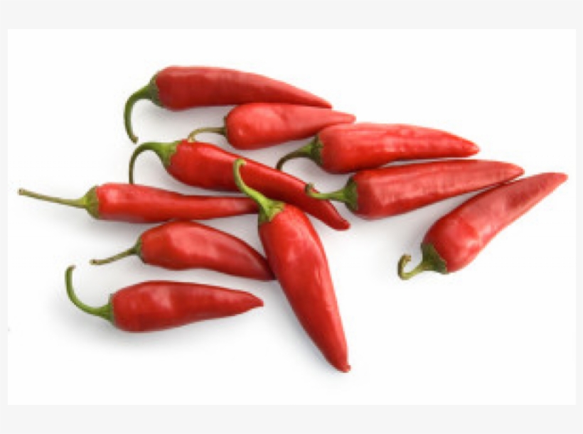 Xanadu Birds Eye Hot Pepper - Bird Eye Chili Png, transparent png download