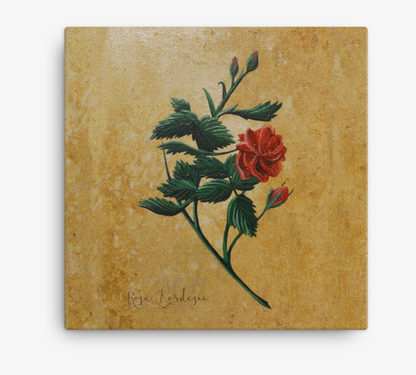 Rose Canvas - Zinnia, transparent png download