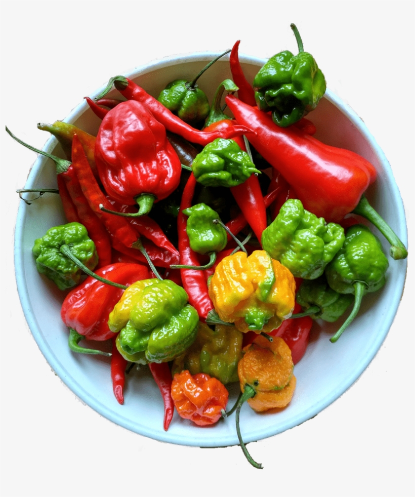 Fair Trade - Habanero, transparent png download