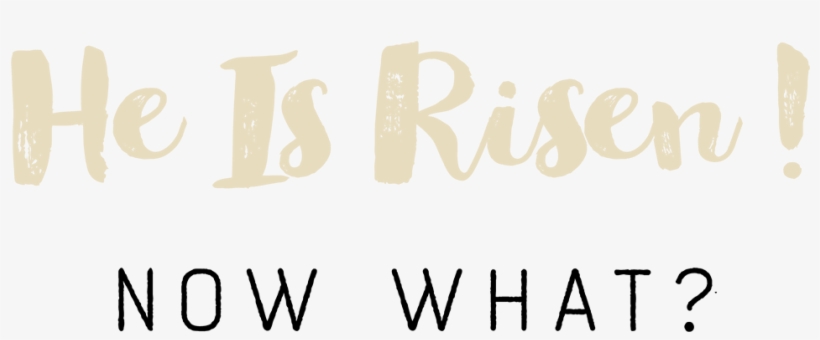 At This Time Of Year, Many Focus On Three Famous Words - Calligraphy, transparent png download
