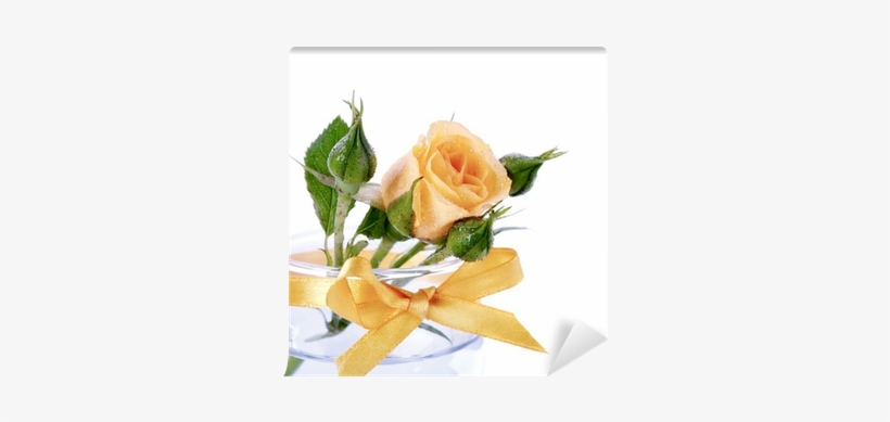 Stock Photography, transparent png download