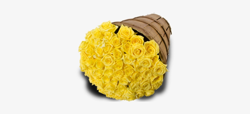 Yellow Roses - Floribunda, transparent png download