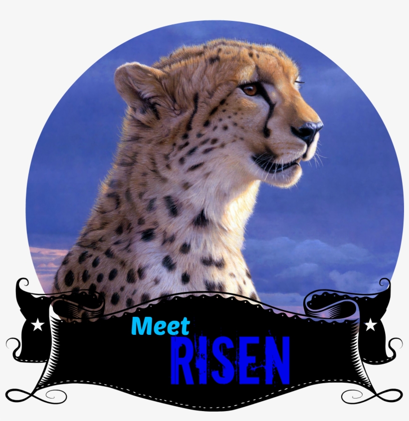 Meet Risen - Daniel Smith - African Tempest - Cheetah, transparent png download