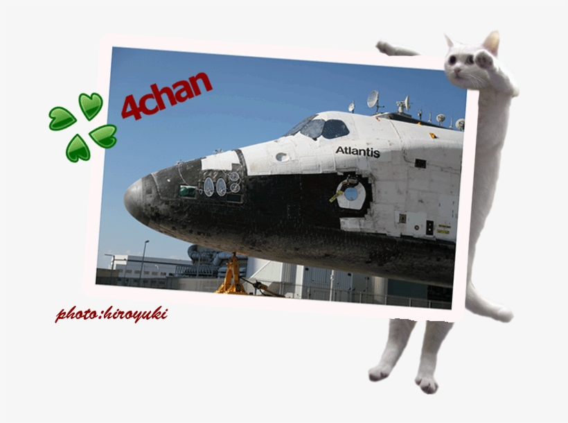 What Is 4chan - 4chan Atlantis, transparent png download