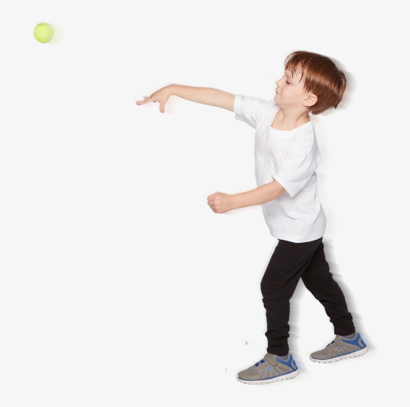Sportball, transparent png download