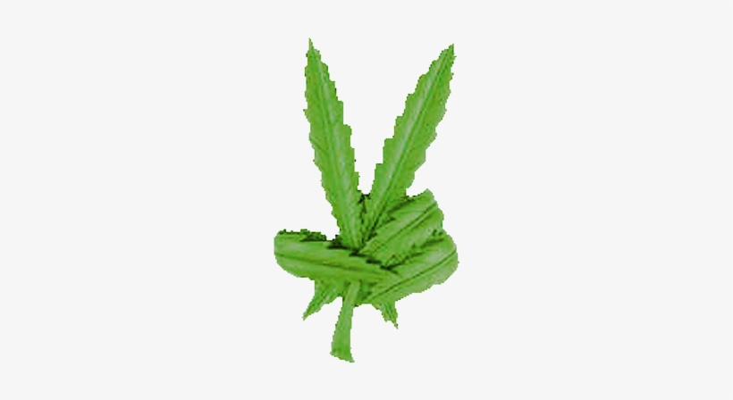 Dab Team - Pot Leaf, transparent png download