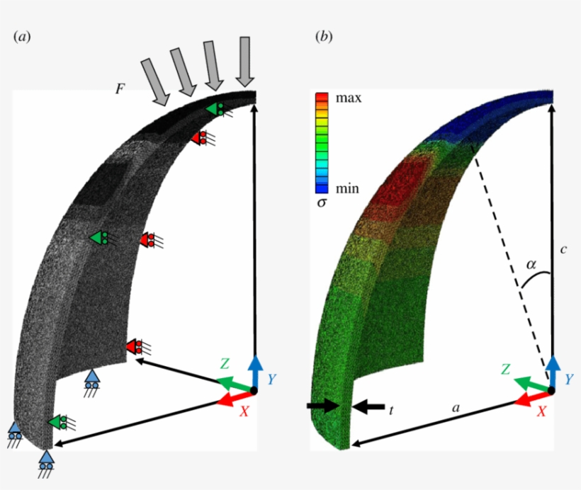 Finite-element Analysis Of Maximum Principal Stress - Finite Element Method, transparent png download