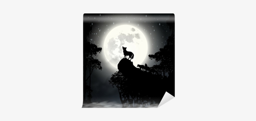 Coyote Yelps: Fifth Grade Pourquoi Tales [book], transparent png download