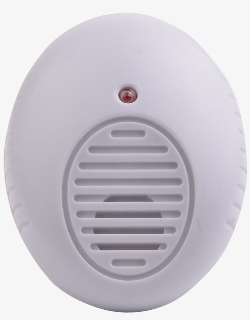 The <strong>egg</strong> Shape Excellent Mini Off - Circle, transparent png download