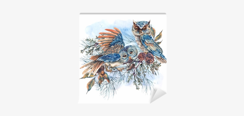 Watercolor Greeting Card With Owls, Spruce Branches - Watercolor Painting, transparent png download