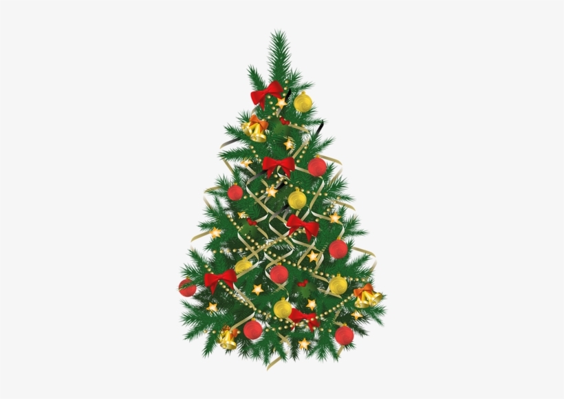 Xmas Trees - Christmas Tree Images Png, transparent png download