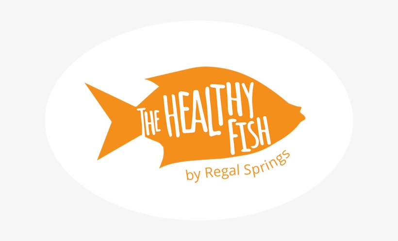 The Healthy Fish - Fish, transparent png download