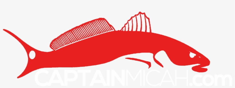 Central Florida Fishing Charters - Decal, transparent png download