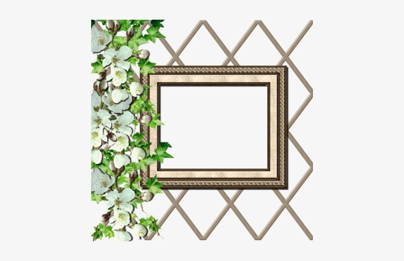 A Border Frame Overlay - 14 August Photo Frame, transparent png download
