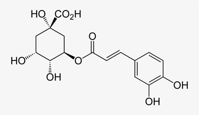 Chlorogenic Acid, transparent png download