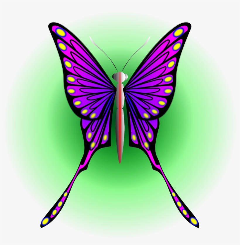 Big Image - Brush-footed Butterflies, transparent png download